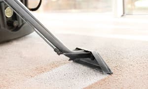 Carpet Cleaning Services Near